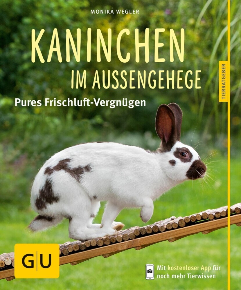 Kaninchen im Außengehege main product photo