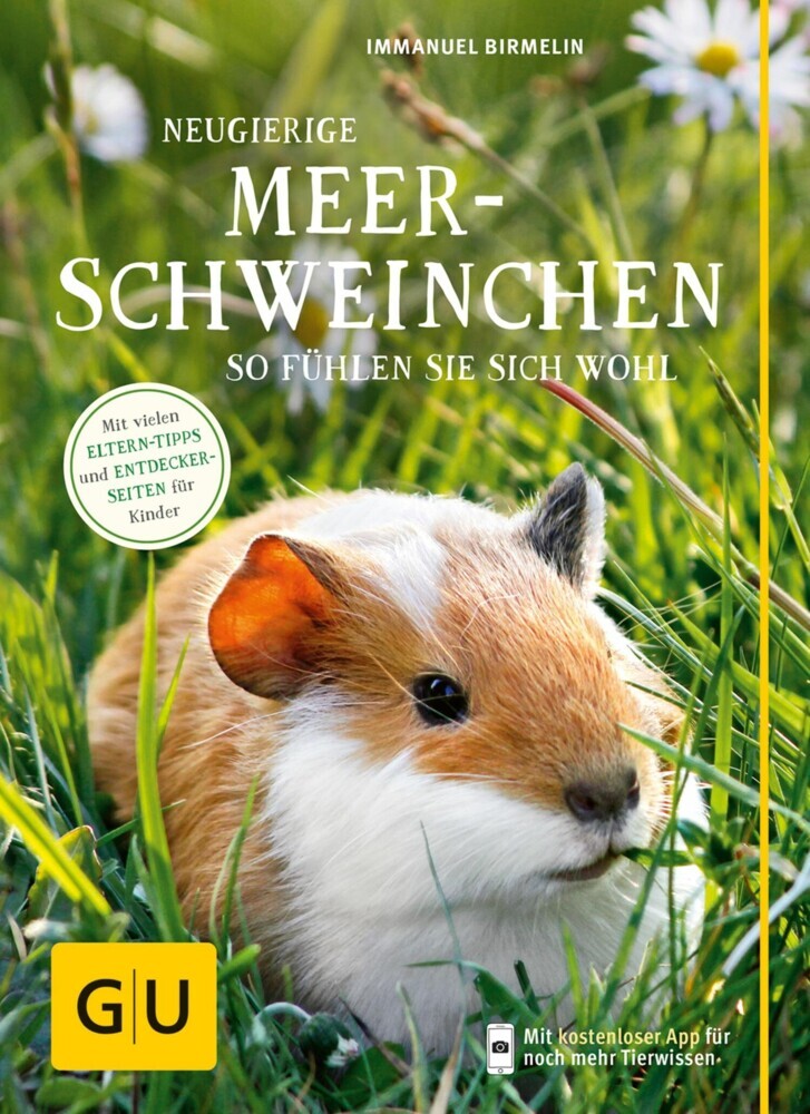 Neugierige Meerschweinchen main product photo
