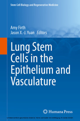 Lung Stem Cells in the Epithelium and Vasculature