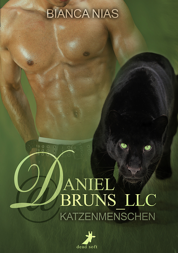 Daniel@Bruns_LLC main product photo