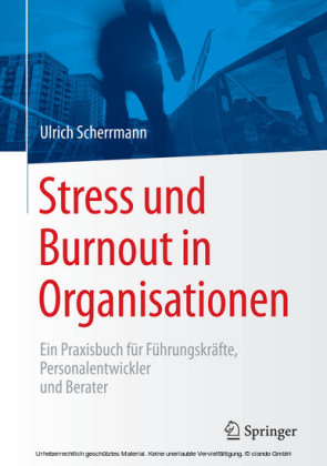 Stress und Burnout in Organisationen