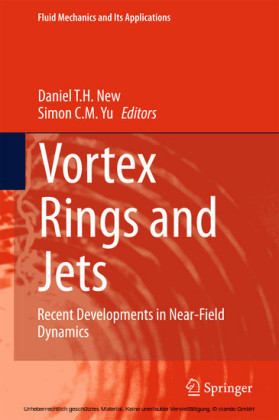 Vortex Rings and Jets