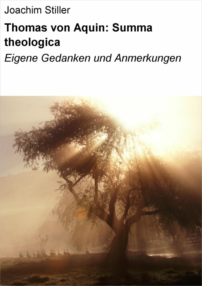 Thomas von Aquin: Summa theologica main product photo