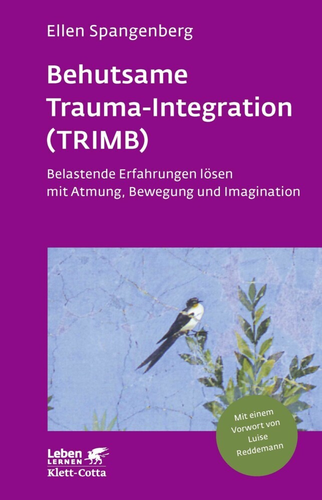 Behutsame Trauma-Integration (TRIMB) (Leben Lernen, Bd. 275) main product photo