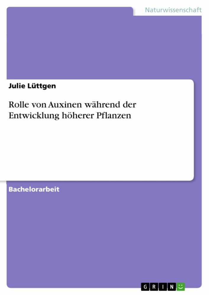 Rolle von Auxinen während der Entwicklung höherer Pflanzen main product photo