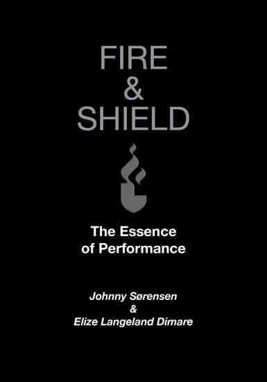 Fire & Shield main product photo