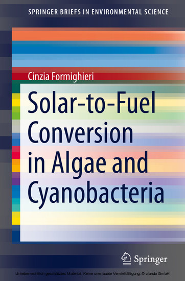 Solar-to-Fuel Conversion in Algae and Cyanobacteria main product photo