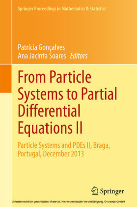 From Particle Systems to Partial Differential Equations II