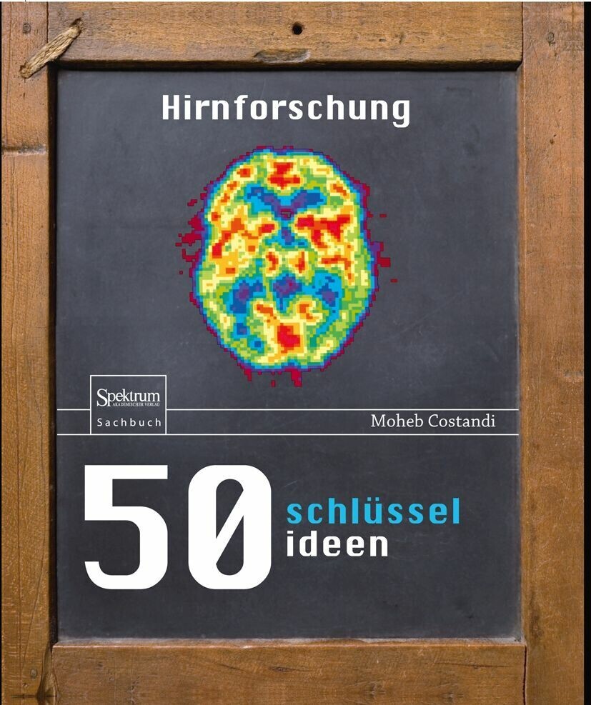 50 Schlüsselideen Hirnforschung main product photo