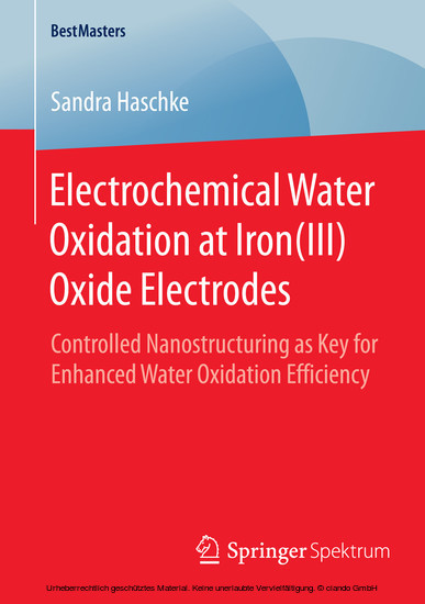 Electrochemical Water Oxidation at Iron(III) Oxide Electrodes main product photo