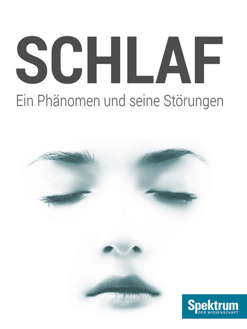 Schlaf main product photo