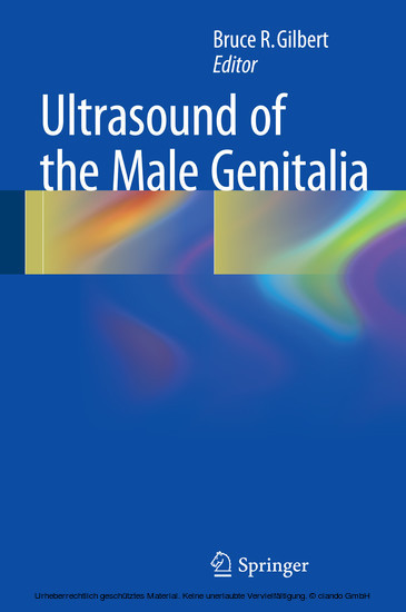 Ultrasound of the Male Genitalia main product photo