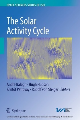 The Solar Activity Cycle