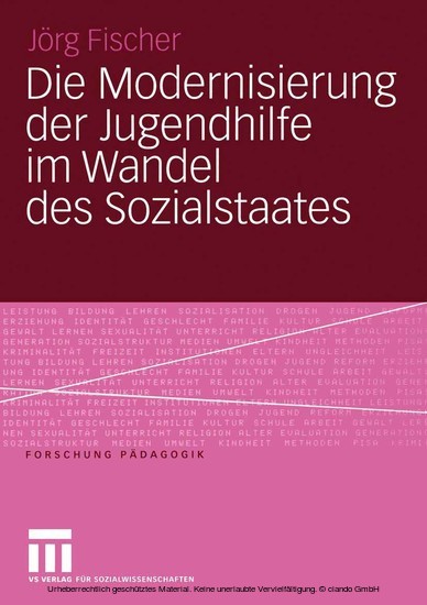 Die Modernisierung der Jugendhilfe im Wandel des Sozialstaates main product photo
