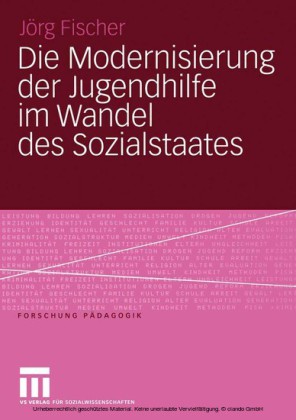 Die Modernisierung der Jugendhilfe im Wandel des Sozialstaates