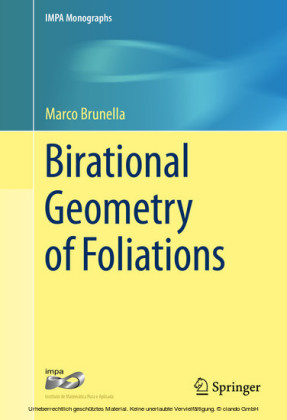 Birational Geometry of Foliations