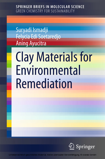Clay Materials for Environmental Remediation main product photo