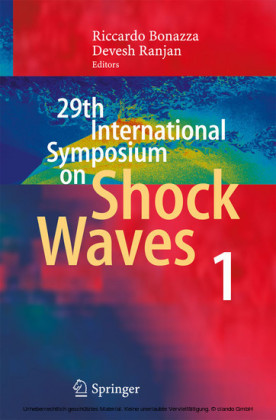 29th International Symposium  on Shock Waves 1. Vol.1