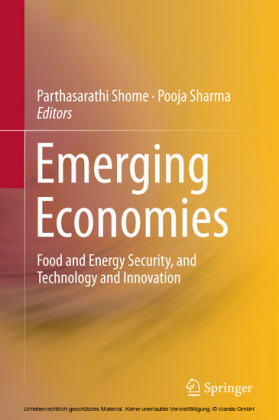 Emerging Economies
