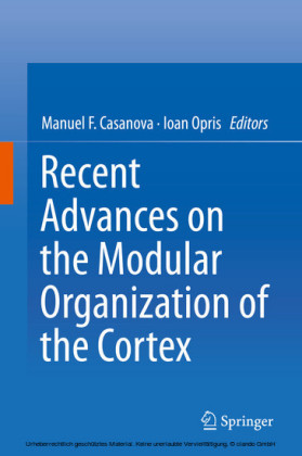 Recent Advances on the Modular Organization of the Cortex