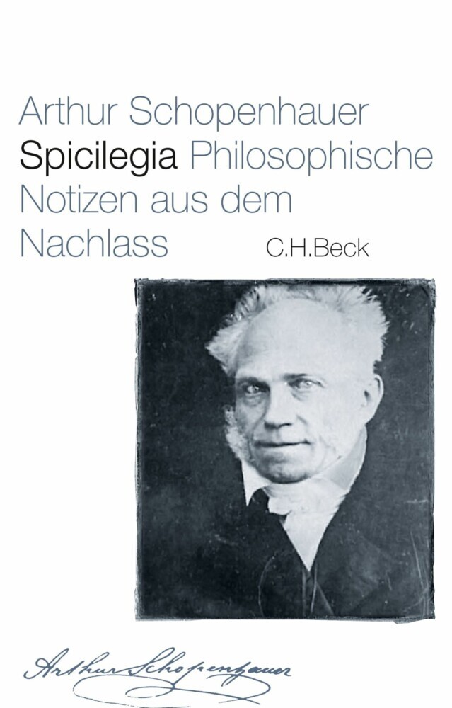 Spicilegia main product photo