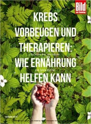 Krebs vorbeugen und therapieren: Wie Ernährung helfen kann