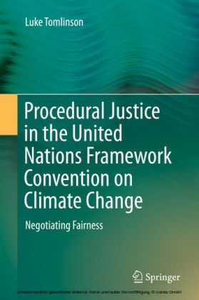 Procedural Justice in the United Nations Framework Convention on Climate Change