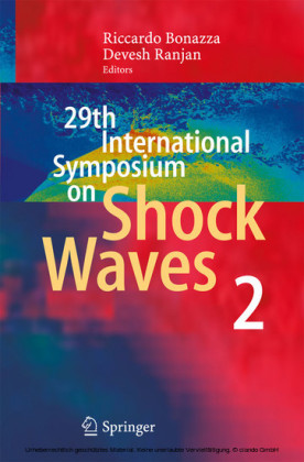 29th International Symposium  on Shock Waves 2. Vol.2