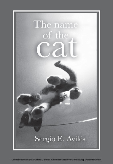 The Name of the Cat main product photo
