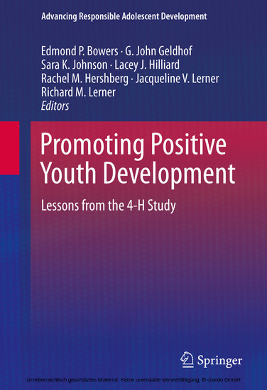 Promoting Positive Youth Development main product photo