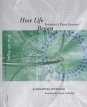 How Life Began