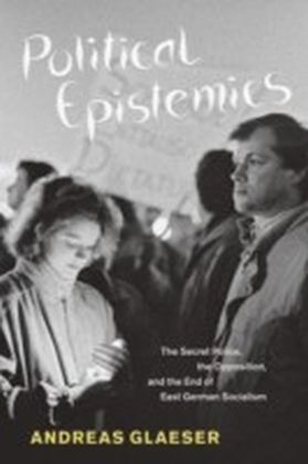 Political Epistemics main product photo
