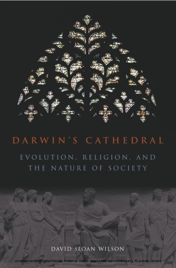 Darwin's Cathedral main product photo