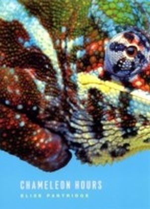 Chameleon Hours
