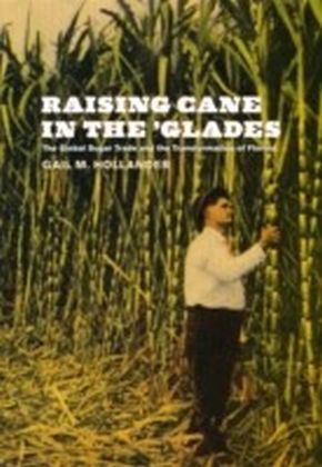 Raising Cane in the 'Glades