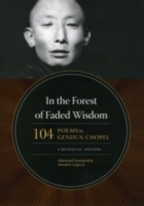 In the Forest of Faded Wisdom