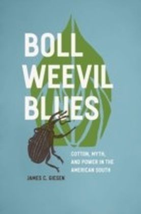 Boll Weevil Blues