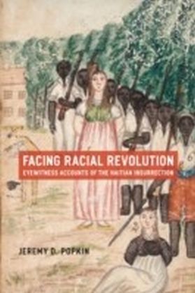 Facing Racial Revolution main product photo