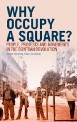 Why Occupy a Square?: People, Protests and Movements in the Egyptian Revolution