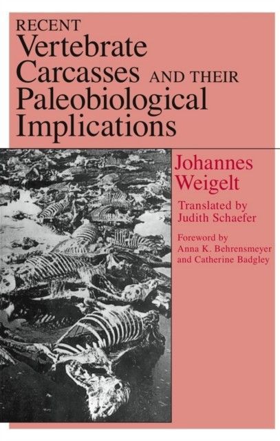 Recent Vertebrate Carcasses and Their Paleobiological Implications main product photo
