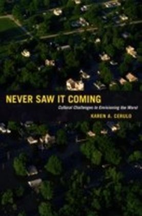 Never Saw It Coming main product photo