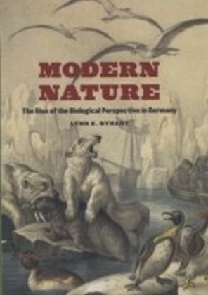 Modern Nature main product photo