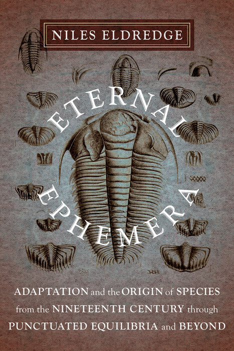 Eternal Ephemera main product photo