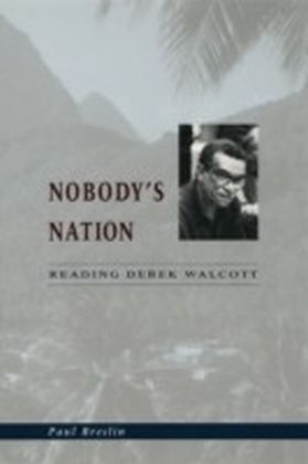 Nobody's Nation main product photo