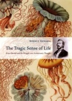 Tragic Sense of Life