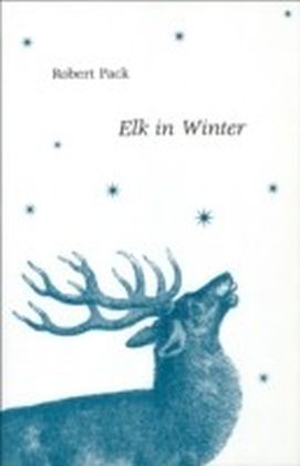 Elk in Winter