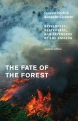 Fate of the Forest main product photo