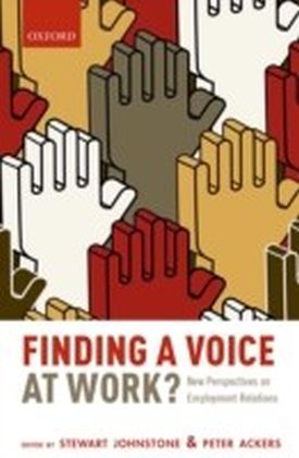 Finding a Voice at Work?: New Perspectives on Employment Relations main product photo