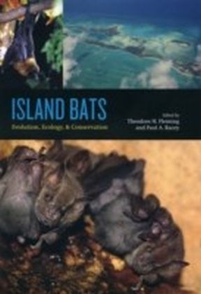Island Bats
