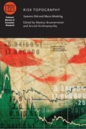 Risk Topography